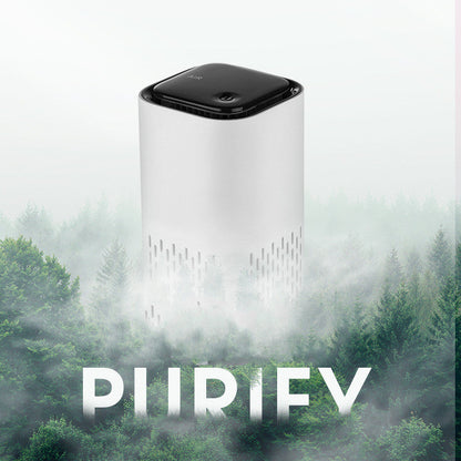 Spring New Arrival Mini Portable Car Air Purifiers